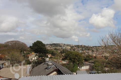 Image 12 - 239735